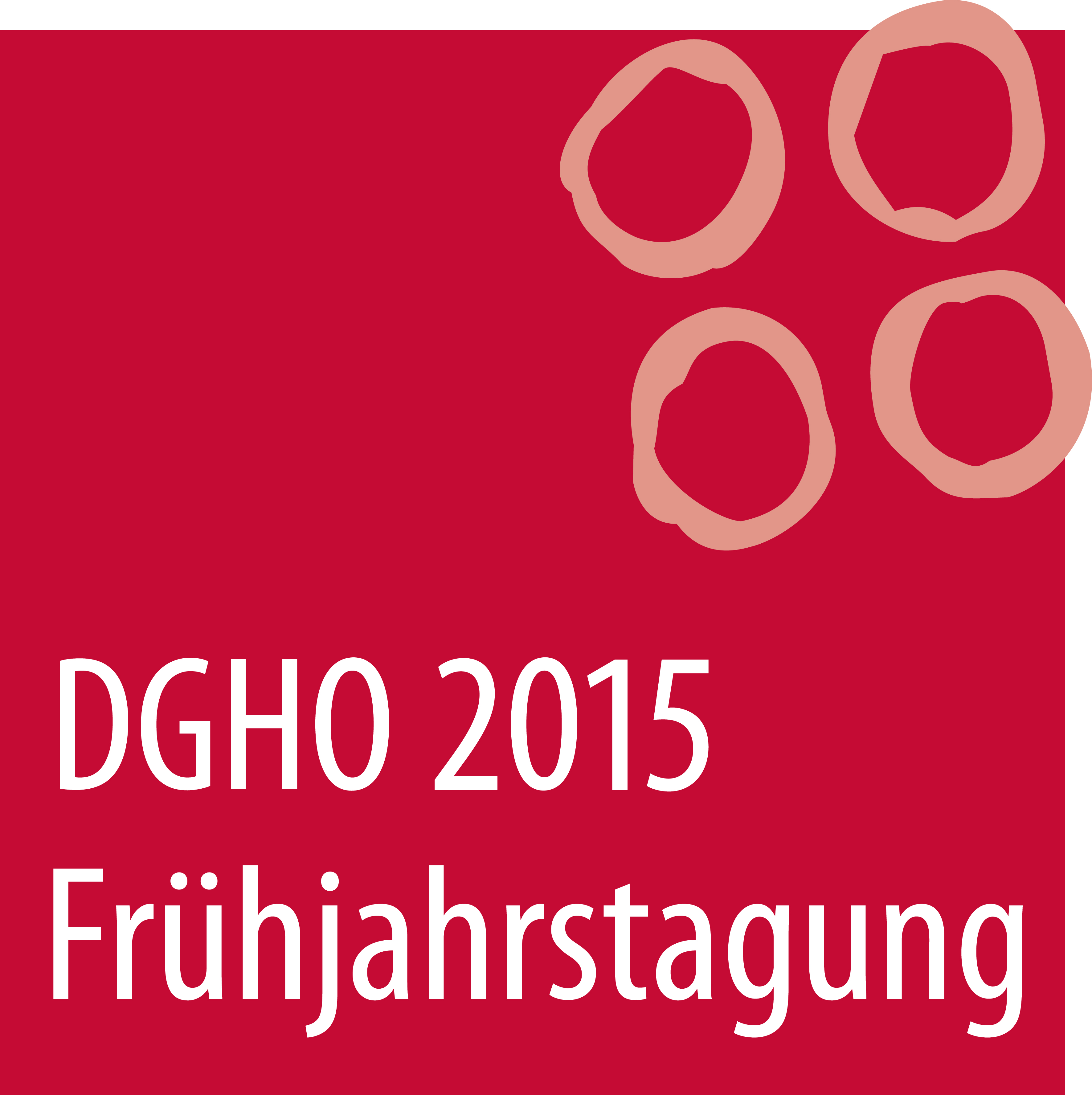 Logo_DGHO_FJT_2015.jpg