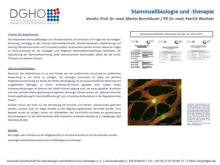 Stammzellbiologie.JPG